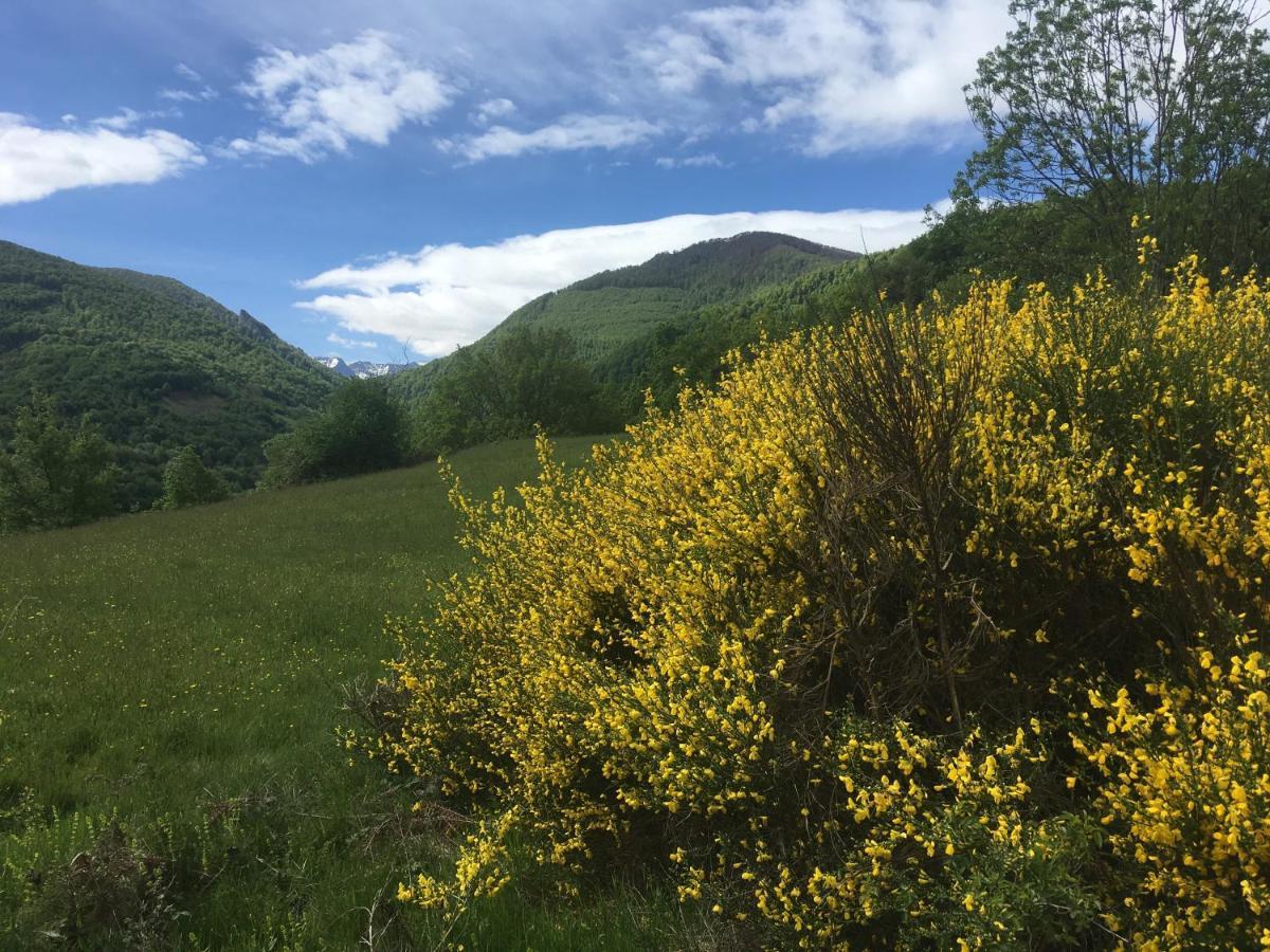 Les Songes Du Chene Hotell Augirein Exteriör bild