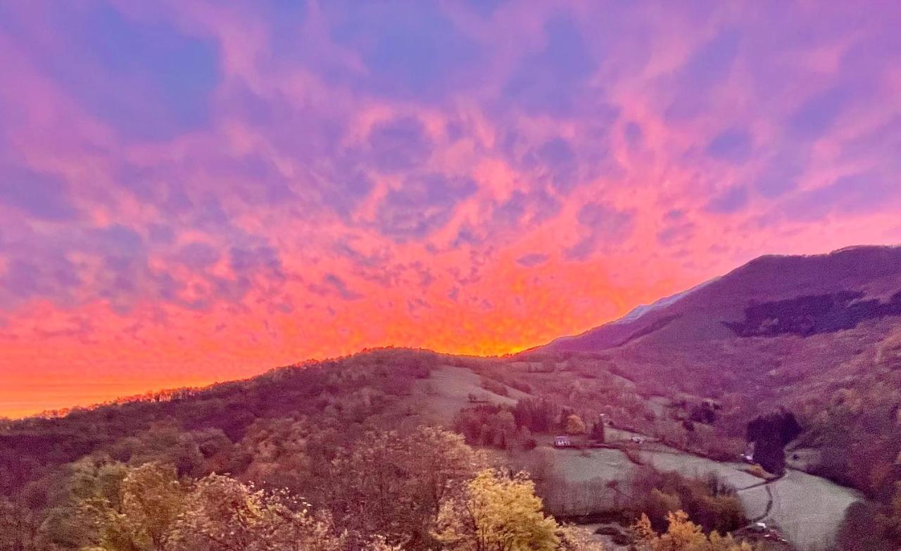 Les Songes Du Chene Hotell Augirein Exteriör bild